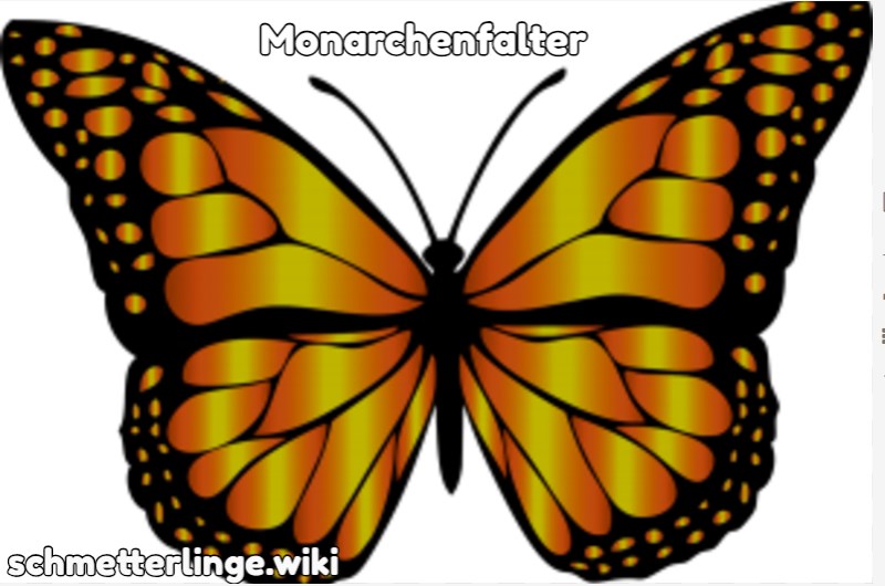 Monarchenfalter