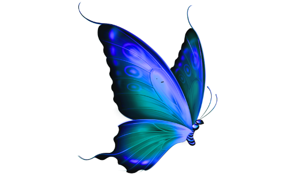 Schmetterlinge.wiki